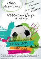 veteran cup